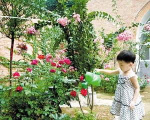 養花的文藝表達