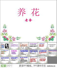 養(yǎng)花教學(xué)設(shè)計(jì)及ppt