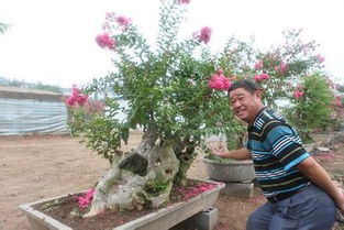 關(guān)于養(yǎng)花的搞笑說(shuō)說(shuō)