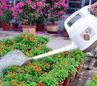 陽臺養(yǎng)花要少而精嗎