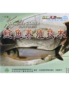 養花鰱魚(yú)大全