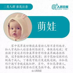 養(yǎng)花的學(xué)問得到的啟示