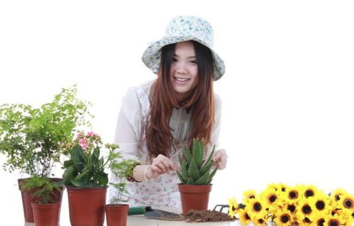 喜歡喝茶養花的人性格