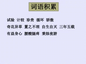 我從老舍養(yǎng)花的我們體會(huì)到