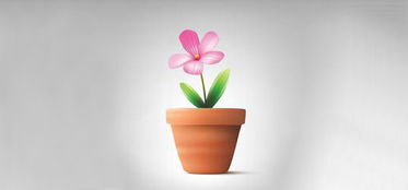 養(yǎng)花種農(nóng)作物的小游戲