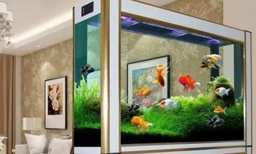 魚(yú)缸放在家中養花好嗎