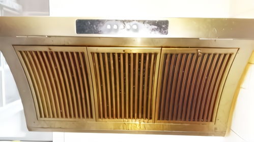 養(yǎng)花大全抽油煙機(jī)廢油