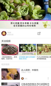 養(yǎng)花百科
