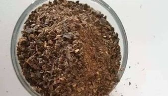 可以自制水培養花肥料嗎