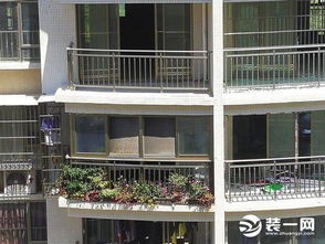 窗外養(yǎng)花