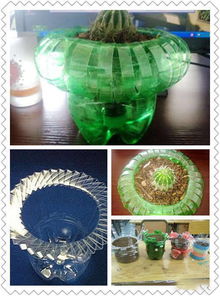 用家里的塑料瓶做養(yǎng)花盆