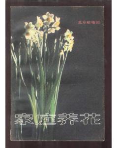 家養(yǎng)花的描寫片段