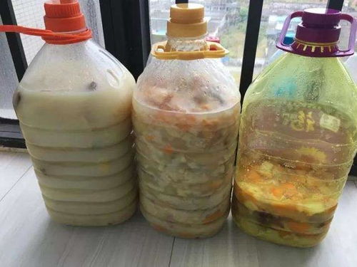 果皮灰能養花嗎