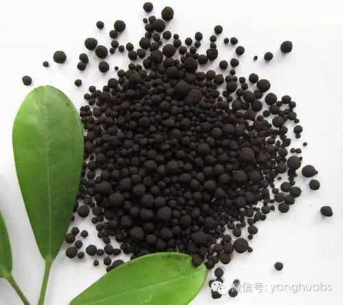 愛養(yǎng)花的小小陸