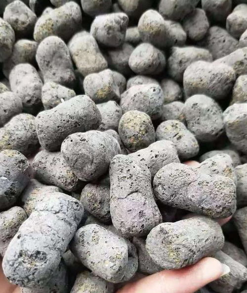 廁所用的陶粒可以養(yǎng)花嗎