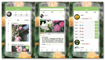 專(zhuān)門(mén)指導(dǎo)養(yǎng)花的平臺(tái)