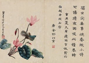 老舍養(yǎng)花的閱讀題