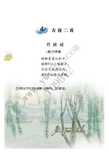 語(yǔ)文a版六級(jí)下冊(cè)養(yǎng)花