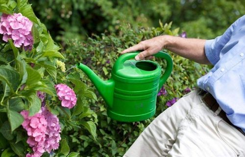 養(yǎng)花用茶葉水澆花可以嗎
