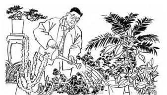 老舍從哪些方面寫?zhàn)B花的樂趣