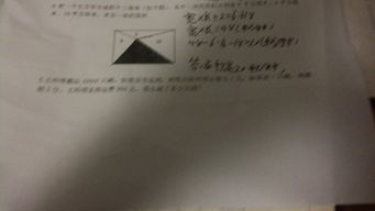 我的愛(ài)好作文600字養(yǎng)花