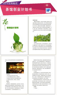 養(yǎng)生健康茶創(chuàng)新創(chuàng)業(yè)計(jì)劃書(shū)