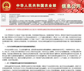 返鄉,下鄉,實(shí)施意見(jiàn),創(chuàng  )新