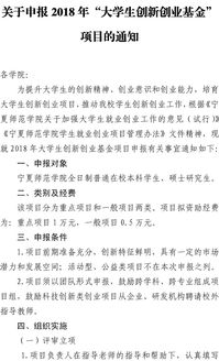 本科生,申請書(shū),創(chuàng  )業(yè)計劃,創(chuàng  )新