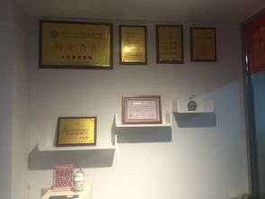 廈門(mén),創(chuàng)新,協(xié)會(huì),電話(huà)