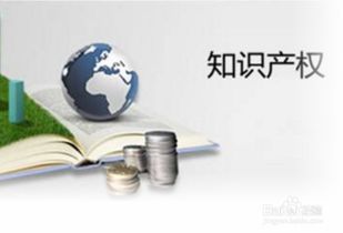 優(yōu)化創(chuàng  )新創(chuàng  )業(yè)環(huán)境,創(chuàng  )新創(chuàng  )業(yè)容錯機制,優(yōu)化創(chuàng  )新創(chuàng  )業(yè)生態(tài)