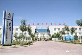 內(nèi)蒙古創(chuàng)新創(chuàng)業(yè)學(xué)院,內(nèi)蒙古創(chuàng)新創(chuàng)業(yè)大賽獲獎作品,內(nèi)蒙古大學(xué)生創(chuàng)新創(chuàng)業(yè)