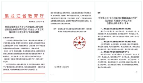 大學(xué)創(chuàng)新創(chuàng)業(yè)孵化平臺章程
