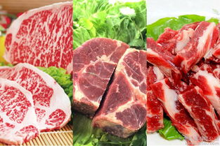 錫盟牛羊肉生產(chǎn)廠家,錫盟牛羊肉專賣(mài)店,錫盟牛羊肉介紹