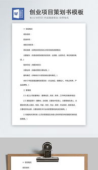創(chuàng  )新創(chuàng  )業(yè)策劃書(shū)3000字范文