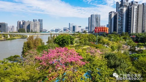 離岸創(chuàng  )新創(chuàng  )業(yè)基地運營(yíng)模式