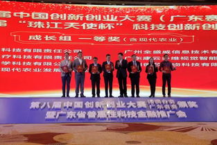 互聯(lián)網(wǎng)+大學生創(chuàng)新創(chuàng)業(yè)大賽參賽要求,創(chuàng)新創(chuàng)業(yè)大賽參賽組別,創(chuàng)新創(chuàng)業(yè)大賽參賽類別