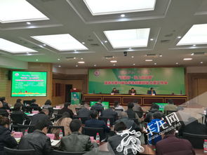 重慶市大學生創(chuàng)新創(chuàng)業(yè),重慶市大學生創(chuàng)新創(chuàng)業(yè)服務網(wǎng),重慶市大學生創(chuàng)新創(chuàng)業(yè)訓練計劃