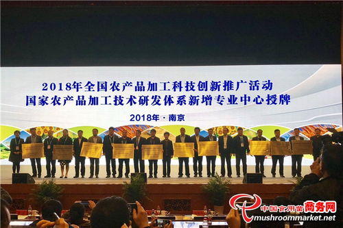 南京,博覽會,創(chuàng)新,創(chuàng)業(yè)
