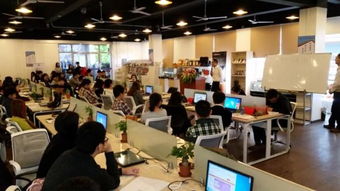 公司創(chuàng)新創(chuàng)業(yè)孵化實訓基地