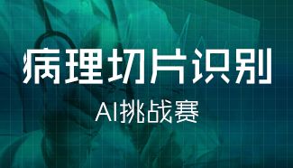 能力,創(chuàng)新,創(chuàng)業(yè),數(shù)據(jù)