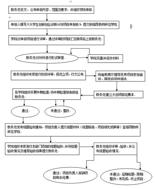 執(zhí)行情況,過程中,創(chuàng)業(yè)項目,財務