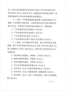 實(shí)施細則,扶持,資助,創(chuàng  )新