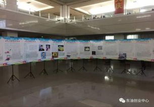 東北石油大學創(chuàng)新創(chuàng)業(yè)大賽2015,東北石油大學創(chuàng)新創(chuàng)業(yè)學院,東北石油大學互聯(lián)網(wǎng)+大學生創(chuàng)新創(chuàng)業(yè)大賽