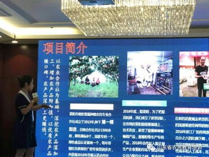 農村創(chuàng  )業(yè)創(chuàng  )新人才申報