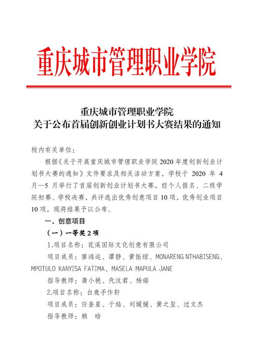 計劃書,創(chuàng)業(yè)項目,創(chuàng)新,學(xué)校