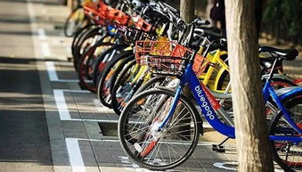 創(chuàng)新創(chuàng)業(yè)看待共享單車衰敗
