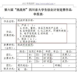 計劃書(shū),挑戰杯,創(chuàng  )新,創(chuàng  )業(yè)