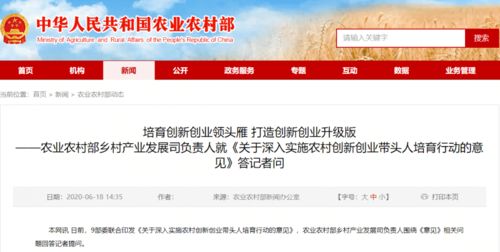 關(guān)于開展創(chuàng)新創(chuàng)業(yè)活動(dòng)的建議