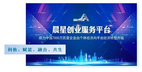 我的創(chuàng)新創(chuàng)業(yè)夢想,創(chuàng)新創(chuàng)業(yè)夢想心得體會,大學(xué)生創(chuàng)新創(chuàng)業(yè)夢想