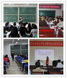 大學生創(chuàng)新創(chuàng)業(yè)訓練計劃項目申報書范文
